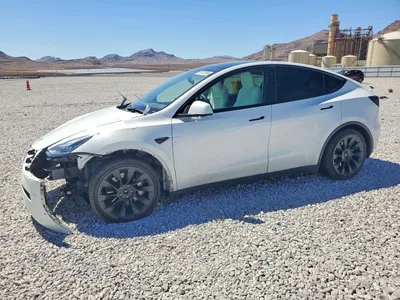 2021 TESLA MODEL Y, фото 1, лот 10855788