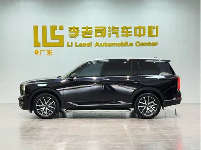 2022 GAC Trumpchi Trumpchi GS8 Pilot Series 2.0TGDI 4WD Luxury Smart Connect Edition (7-Seater), фото 4, лот 10415344