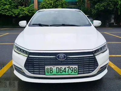 2019 BYD Qin New Energy Travel Edition, фото 2, лот 10273453