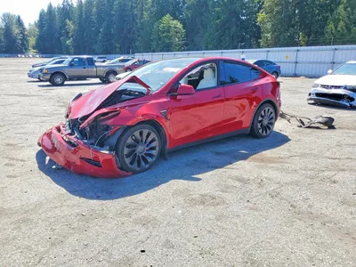 2023 TESLA MODEL Y, фото 1, лот 10853496