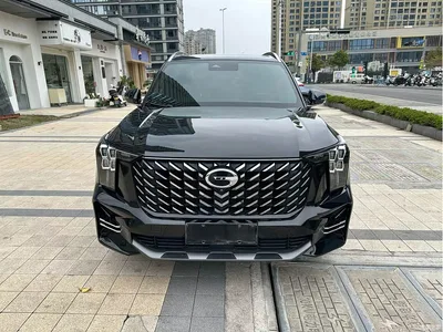 2022 GAC Trumpchi Trumpchi GS8 Pilot Series 2.0TGDI 2WD Luxury Smart Connect Edition (7-Seater), фото 2, лот 10414492