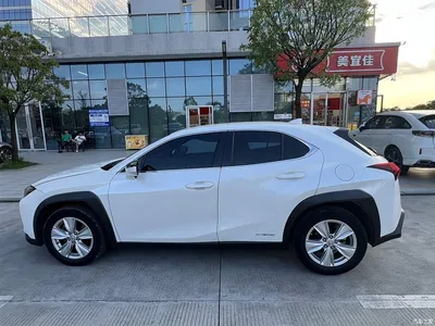 2020 Lexus UX 260h Explore Cool Edition, фото 3, лот 10391884