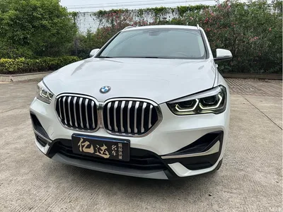 2021 BMW X1 sDrive20Li Fashion, фото 3, лот 10465548