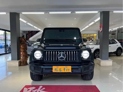 2020 Mercedes-Benz G-Class G 350, фото 1, лот 10295993