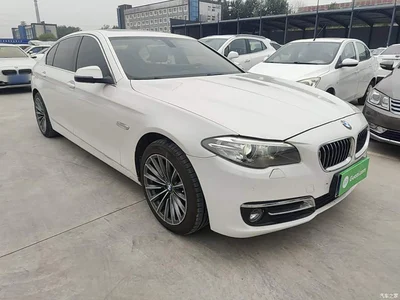 2017 BMW 5 Series 520Li Classic Edition, фото 4, лот 11136413