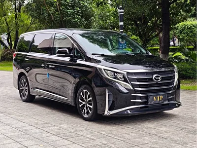 2023 GAC Trumpchi Trumpchi M8 Leading Series 390T Premium Edition, фото 3, лот 10416253