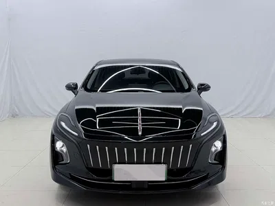 2023 Hongqi E-QM5 Basic Travel Edition, фото 3, лот 10304143