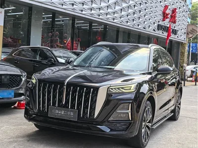 2023 Hongqi HS5 2.0T AWD Flag Enjoy Pro Edition, фото 1, лот 10288457