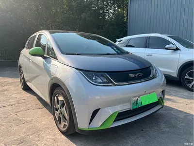 2021 Byd Dolphin, фото 3, лот 10244646
