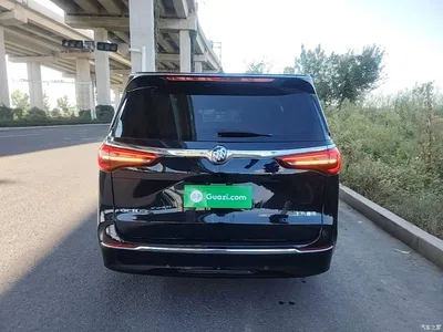 2023 Buick GL8 ES Landmaster Exclusive, фото 4, лот 10434688