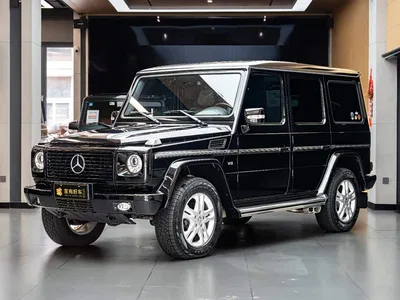 2010 Mercedes-Benz G-Class G 500, фото 1, лот 10280657