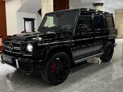 2010 Mercedes-Benz G-Class G 500, фото 1, лот 10280891