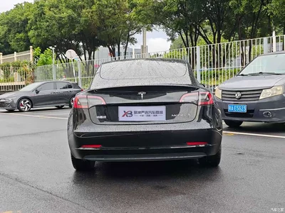 2021 Tesla Model 3 Standard Range Rear-Wheel Drive Upgrade 3D6, фото 4, лот 11476109