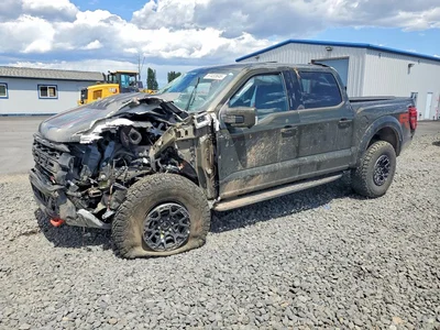 2024 FORD F150 RAPTOR, фото 1, лот 10553320