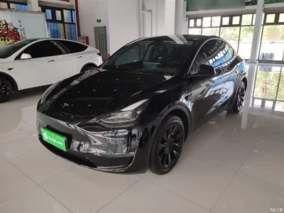 2023 Tesla Model Y Long Range All-Wheel Drive Edition, фото 2, лот 10374204
