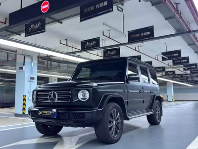 2020 Mercedes-Benz G-Class G 350, фото 1, лот 10481666