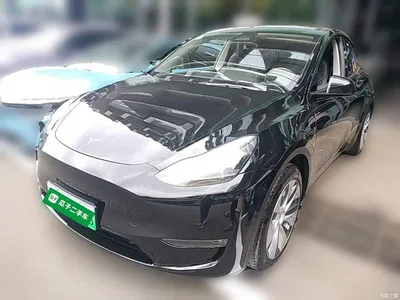 2021 Tesla Model Y Standard Range Rear-Wheel Drive, фото 3, лот 11503063