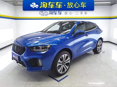 2017 WEY VV5 2.0T Flagship Model, фото 1, лот 10392711