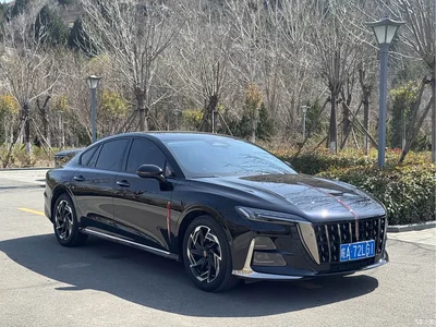 2023 Hongqi H6 2.0T Comfort Edition, фото 3, лот 10287837