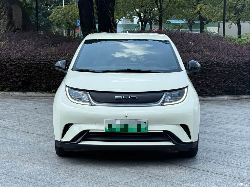 2021 BYD Dolphin 405km Freedom Edition, фото 2, лот 11223492