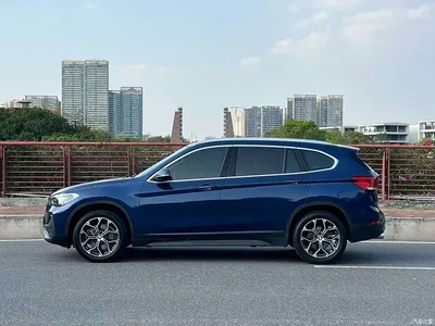 2020 BMW X1 sDrive25Li Leading Model, фото 3, лот 10465141