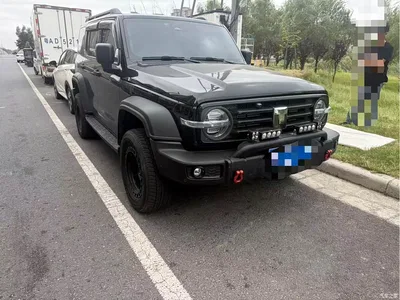 2025 Tank 300 2.0T Conqueror, фото 2, лот 10344266