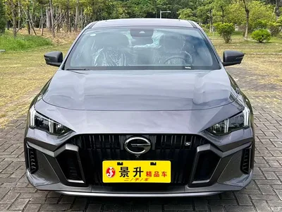 2024 GAC Trumpchi Trumpchi Emkoo Model 270T DCT Shadow Leopard S Edition, фото 2, лот 10416383