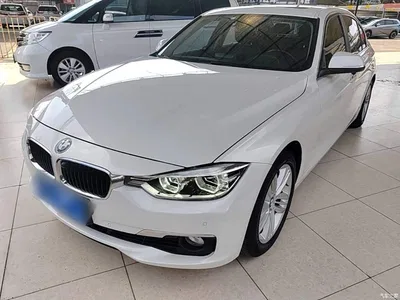 2016 BMW 3 Series 320Li Progressive, фото 1, лот 10457782