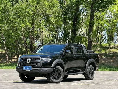 2020 Great Wall Pao 2.0T Off-road Automatic Gasoline 4WD Limited GW4C20B, фото 1, лот 10246267