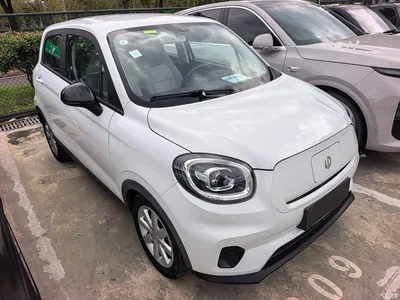 2022 Leapmotor T03 Agate Edition, фото 3, лот 10394968