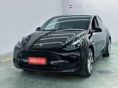 2021 Tesla Model Y Standard Range Rear-Wheel Drive, фото 2, лот 10886401