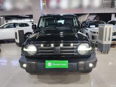 2021 Tank 300 Urban Edition 2.0T Stylish, фото 3, лот 10387764