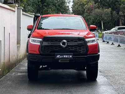 2021 Great Wall Pao 2.0T Cannon Edition GW4C20B, фото 2, лот 10246055