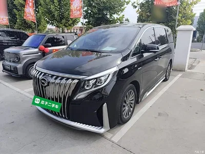 2021 GAC Trumpchi Trumpchi M8 Master Series 390T Ultimate Edition, фото 2, лот 11449735
