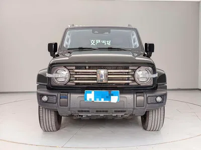 2024 Tank 300 2.0T Explorer, фото 2, лот 10356941