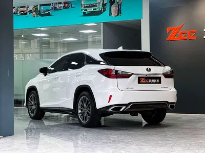 2016 Lexus RX 300 AWD F SPORT Edition China V, фото 3, лот 10443541