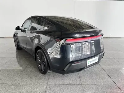2025 Tesla Model Y Rear-Wheel Drive, фото 4, лот 10385382