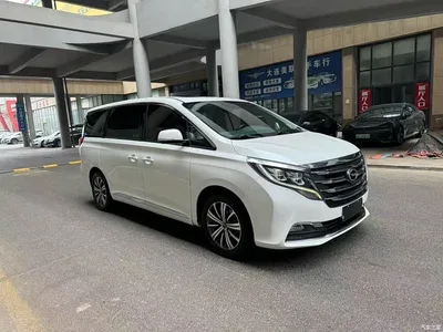 2018 GAC Trumpchi Trumpchi M8 320T Premium Edition, фото 1, лот 10416355