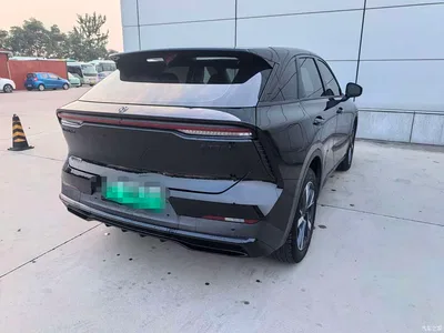 2025 Venucia DaV DD-i Orca 150km Deluxe Edition, фото 4, лот 11146663