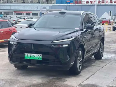 2025 WEY Lanshan AWD Max, фото 1, лот 10451940