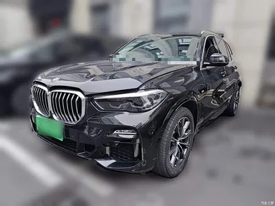 2020 BMW X5 (Import) xDrive30i M Sport Package, фото 1, лот 11133622
