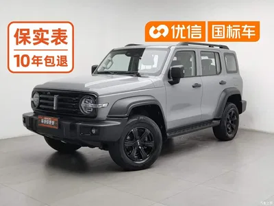 2021 Tank 300 Off-road Edition 2.0T Challenger, фото 1, лот 11106739