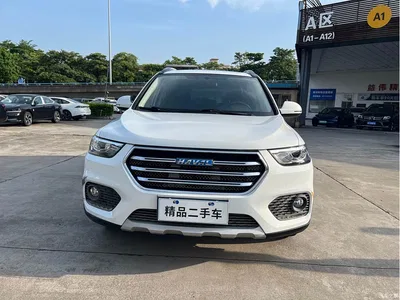 2018 Haval H6 Blue Label Sport 1.5T Automatic 2WD Elite, фото 2, лот 10282804