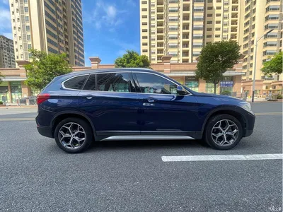 2019 BMW X1 sDrive18Li Premium Model, фото 4, лот 10398624