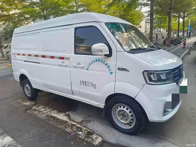 2019 Yuan Cheng E5 E5L Pure Electric Van Gotion 39.9kWh, фото 3, лот 11642533
