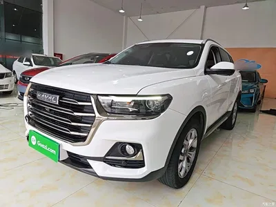 2021 Haval H6 Model National Trend Edition 1.5T Auto Champion, фото 1, лот 11133170
