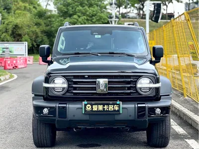 2025 Tank 300 New Energy Hi4-T 36.7kWh Edition, фото 2, лот 10816405