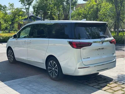 2021 Buick GL8 ES Landlord 653T Flagship, фото 4, лот 10252093
