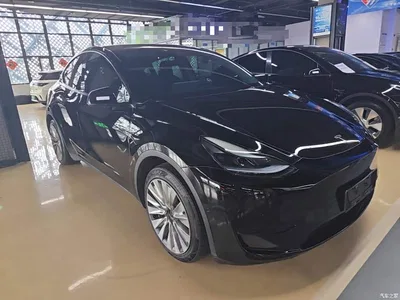 2022 Tesla Model Y Rear-Wheel Drive Version, фото 4, лот 10812655
