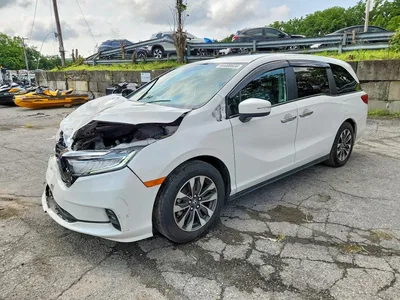 2024 HONDA ODYSSEY EXL, фото 1, лот 10699672